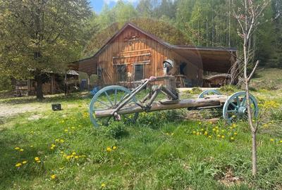 Proprietate eco-turistică de vânzare – 62.330 mp, Horea, Alba - 51