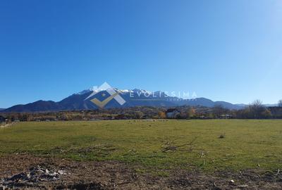 Teren intravilan 10.600 mp Strada Branului - 1