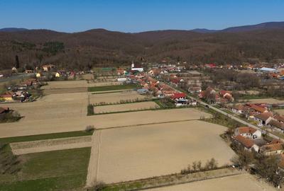 Loc de casă în Odvoș - Conop 3000mp - 3