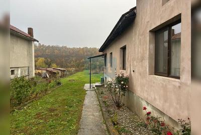Casă P+M renovată, teren generos de 3000 m² – Bălești - 11