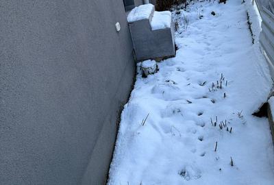 Braytim | 2 Camere | Curte proprie | Mobilat si Utilat - 10