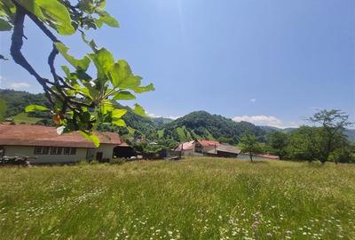 FILM!View superb catre munti,teren pretabil constructie Hotel,4.400 mp, Moieciu - 25