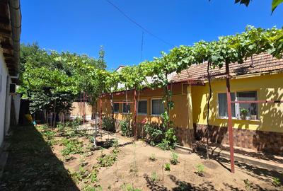 Coiciu - Casa 5 camere (constructie mixta ) + teren 345 mp - 17
