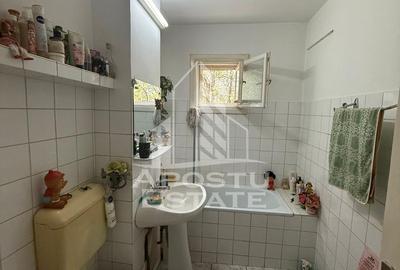 Apartament cu 2 camere de vanzare in zona Steaua, Timisoara - 10