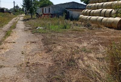Teren pentru diferite activitati de productie , transport ,constructii si depozi - 3