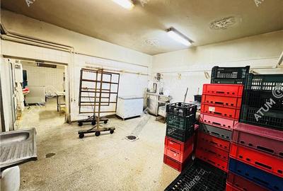 Spatiu comercial de 380 mp utili si teren 683 mp zona Terezian Sibiu - 9