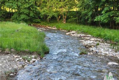 Teren Intravilan 12000 mp, Cascada Urlatoarea, proiect aprobat pentru Resort, la - 8