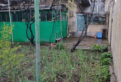 Coiciu-Baba Novac-Casa 4 cam teren 215 mp d-15 m liberă preț 150.000 euro - 3