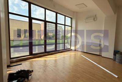 Casă individuală cu 14 camere în Iancului