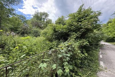 Teren intravilan 683 mp deschidere la strada asfaltata ! - 13