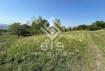 Teren Extravilan - 10'000 Mp - Valea Budacului (Bistrita) - 1