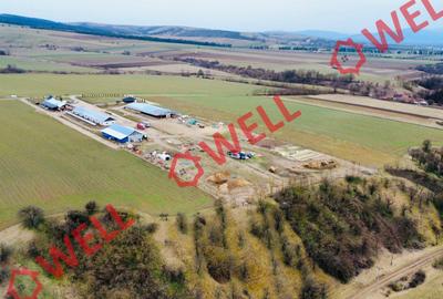 Ferma complet echipată de 22 de hectare de vânzare în Zoltan! - 5