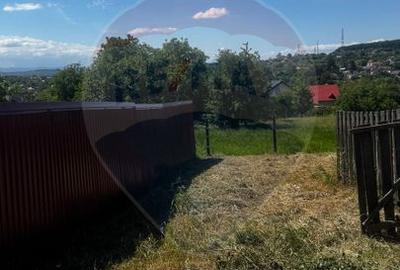 Teren 1,193mp Suceava / Strada Caprioarei - 6