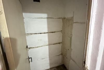 Apartament de renovat cu 2 camere, 50 mpu, parter, Cetate, Alba Iulia - 10