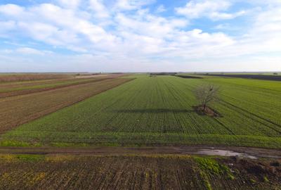 Teren Investitional 1,24 ha Com Berceni | deschidere 42ml | #CG28 - 2