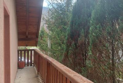 CASĂ DE VACANȚĂ 5 CAMERE,POINANA MĂRULUI, JUD.CARAȘ-SEVERIN - 20