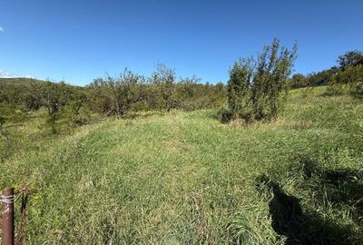 Teren de vanzare extravilan la intrare in Pata 800mp+200mp drum - 2