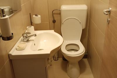 Apartament luminos, cu incaperi generoase si spatii de depozitare. - 7