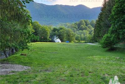Teren Intravilan 12000 mp, Cascada Urlatoarea, proiect aprobat pentru Resort, la - 2