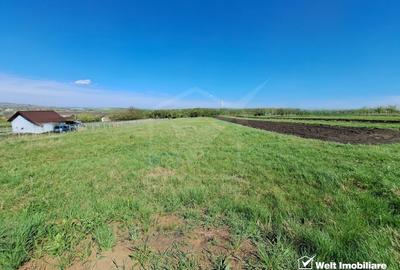 Teren agricol intravilan de 2000 mp, în Tureni