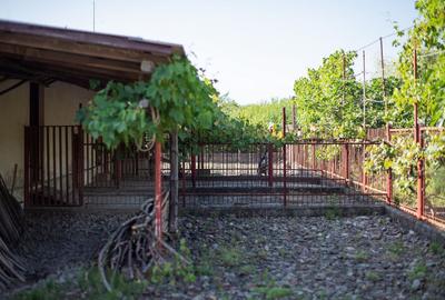 Casă de vânzare Caransebeș – 2 duplexuri, proprietate unică - 10