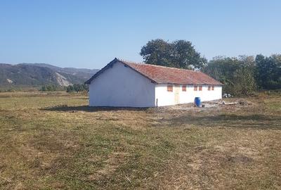 Vand sau inchiriez  17500 mp intravilan in Cislau , sau parcele de 500 - 1000 mp - 4