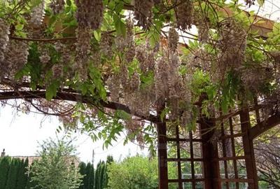 Ocazie! Teren intravilan cu utilități  in Aiton la 30 min. de centru Cluj-Napoca - 4