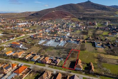 Teren curti-constructii 1295 mp de vanzare in Siria, Arad - 4