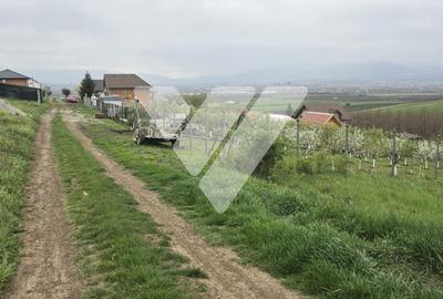 Investitie - Teren intravilan 536 mp Sura Mare ideal construcții - 3
