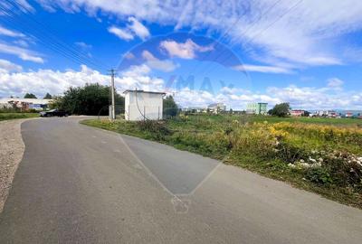 De vânzare – Teren industrial 8.500 mp, Grivitei/Calea Feldioarei - 5