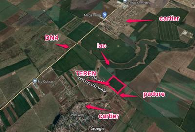 De vanzare teren 6.2HA langa lac si padure/DN4- soseaua Oltenitei - 4