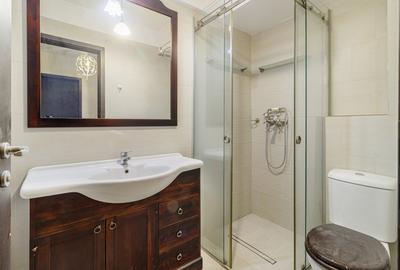 Apartament decomandat cu curte proprie de 170 mp - 9