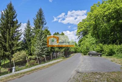 Oportunitate, Restaurant cu MiniPensiune 800mp, 1,8ha teren, Via Transilvanica - 46