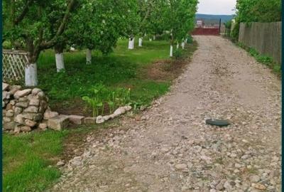 Căsuță de vânzare cu teren generos – 2000 mp – ideală pentru refugiu în natură - 8