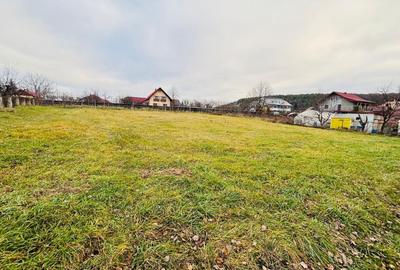 Teren intravilan 1227 mp I Scheia I Suceava - 5