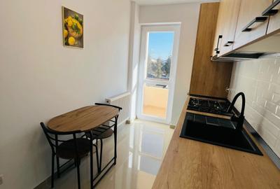 Apartament 1 camera Valea Lupului - 12