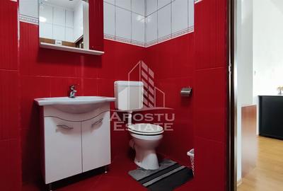 Apartament cu 2 camere, confort sporit, zona Uta - 18