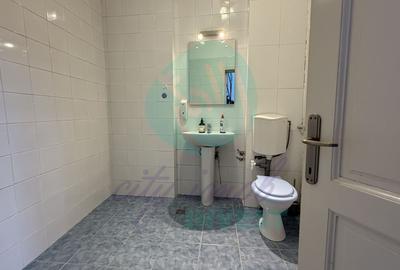 Vila in stil arhitectural german adiacent Calea Mosilor - 15