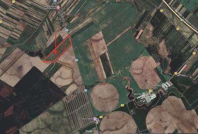 Vand loturi teren curti-constructii, la Ratesti, 28 km de Pitesti - 1