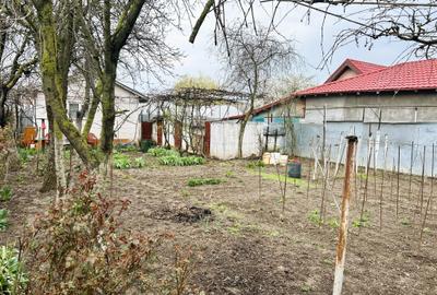 Casa + teren Glina - 12