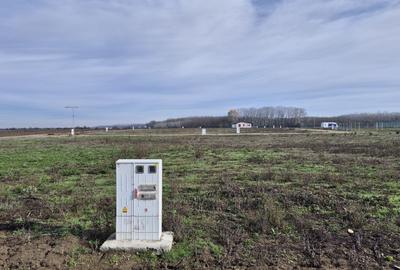 Loturi de teren 638 mp - curent tras la teren - Crevedia - 1