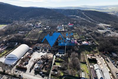 Teren intravilan BIDIDIA, zona deosebita, 550MP - 12