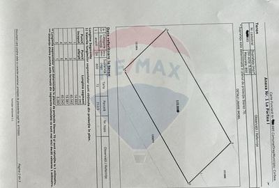 Teren 1,070mp Corbeanca / Strada Ghioceilor - 8