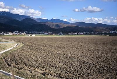 Teren intravilan pentru dezvoltare rezidentiala, Cristian - Brasov. - 7