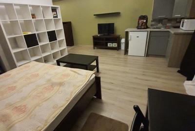 Apartament 1 camera situat la Pallas Moll - 3