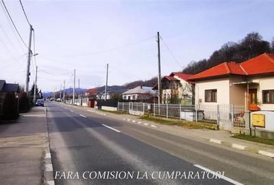 STIRBEI - VODA, CASA CU TEREN 2000 MP - 18