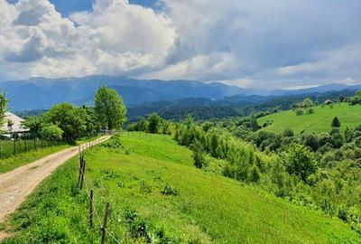 Teren pentru casa de vacanta , Pestera , Brasov - 18