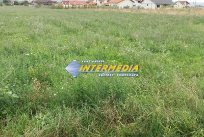 Teren Intravilan 11.150 mp deschidere 38 m. PUZ aprobat P+3 toate utilitatile - 2
