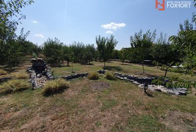 COMISION 0% Casa individuala cu 5 camere si teren de 1222 mp, Jebel - 20