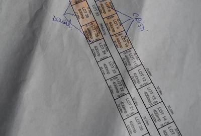 Oportunitate excelentă pentru investiție sau construcția unei locuințe Măgurele - 2